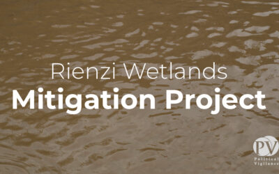 What You Need To Know Before A Mitigation Project Is Approved